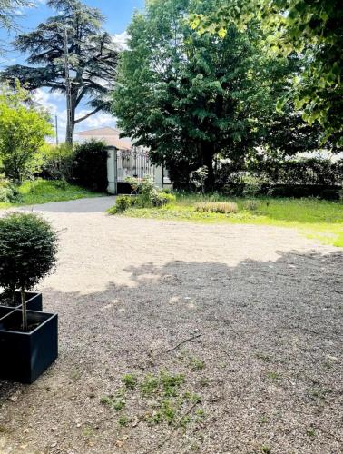 een potplant die op de grond staat in een oprit bij La Maison de Romance d’Hauterive in Villeneuve-sur-Lot