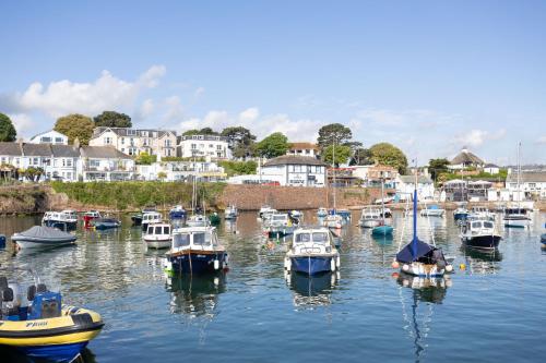 a bunch of boats are docked in a harbor at Quayside View - Luxury Apartment on Paignton Harbour in Paignton