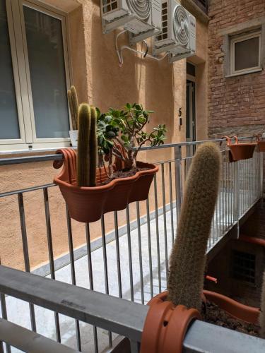 a balcony with cacti and potted plants on a porch at Casa Vella Apartment in Agrigento