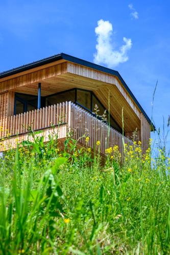 Das Hillside Maria Alm Hintermoos