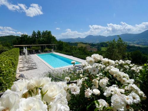 a swimming pool with white flowers in the foreground at Borgo Crispiero in Crispiero