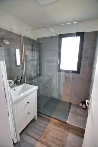 une salle de bain avec douche et lavabo dans l'établissement Appartement Cosy Parking Gratuit, à Gex