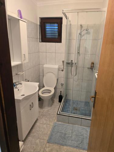 a bathroom with a shower and a toilet and a sink at Apartment Bonita in Vir