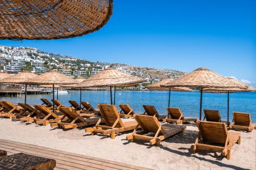 Φυσικό τοπίο κοντά σε αυτό το bed & breakfast