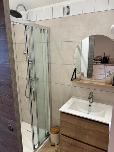 une salle de bain avec douche et lavabo dans l'établissement Petit nid douillet, à Fourques