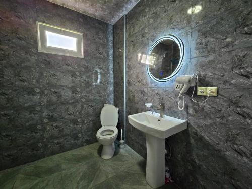 a bathroom with a sink and a toilet and a mirror at Maikostan in Shuakhevi