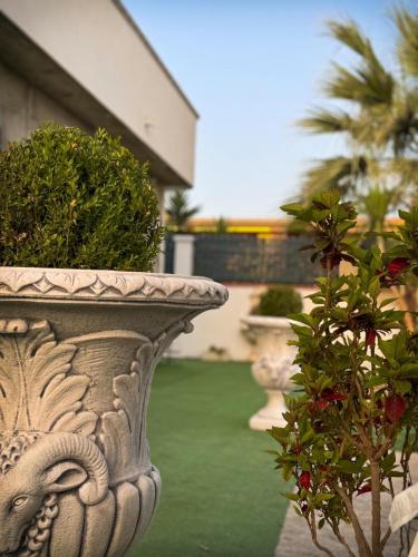 a row of stone vases with plants in a yard at Vicoletto Fiorito in Porto Empedocle