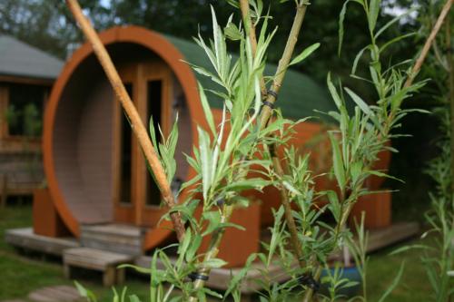 Un jardín fuera de BCC Lochness Hostel pods
