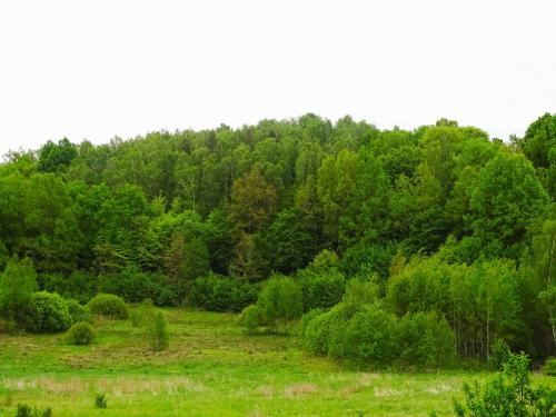 Landskap semula jadi dekat dengan penginapan di ladang
