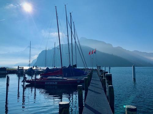 a group of boats docked at a dock in the water at Lilly o Wellness o Hideaway in Ingenbohl