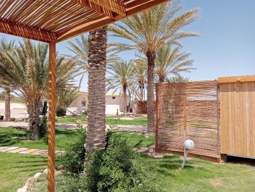 a palm tree in a yard with a fence at Garden12 Outdoor & More in Douz