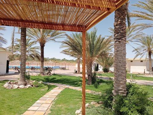 a pavilion with palm trees in a park at Garden12 Outdoor & More in Douz