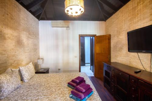 a bedroom with a bed and a flat screen tv at Villa Jardín de Buda in Arona