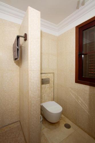 a bathroom with a toilet and a glass shower at Villa Jardín de Buda in Arona