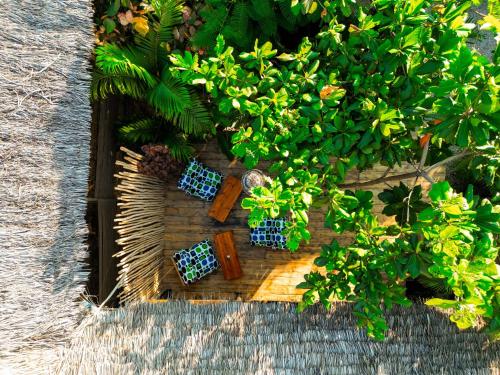 an overhead view of a garden with trees and chairs at The Garten Living in Paje