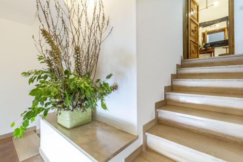 Galería fotográfica de Anthyllis Apartment en Alguer