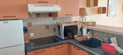 a kitchen with a counter top with a microwave at Résidence Villa Nova in Tiuccia