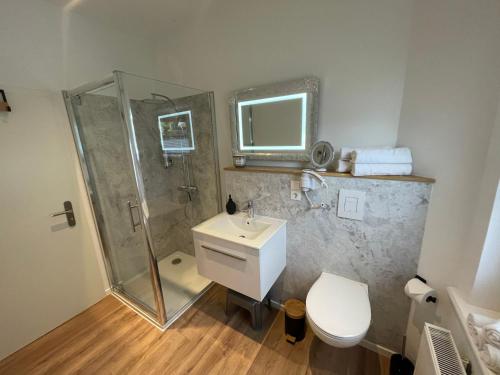 a bathroom with a shower and a sink and a toilet at Bergstadt Apartment Lautenthal ,Modern, Stylisch, Geräumig in Lautenthal