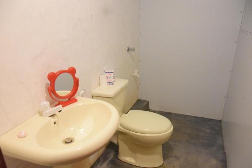 a bathroom with a toilet and a sink with a mirror at Ansi Villa in Nanu Oya
