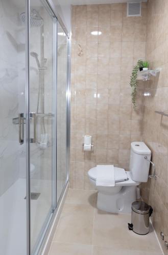 a bathroom with a toilet and a glass shower at Pensión A Codeseira Melide in Melide