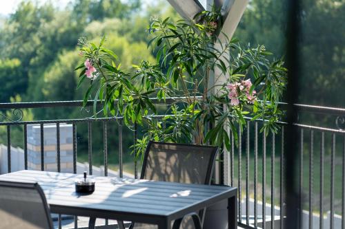 a table and chairs on a balcony with plants at Casa Patry in Călimăneşti