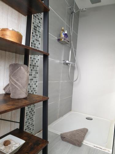 a bathroom with a shower and a white bath tub at Happiness Cottage in Colmar