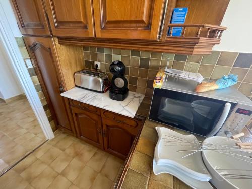 une petite cuisine avec un évier et un micro-ondes dans l'établissement Au bord de mer à Hyères les Palmiers, à Hyères