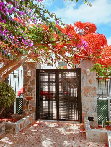 a black gate with flowers on a tree at Apartamentos las Acacias in Puerto del Carmen