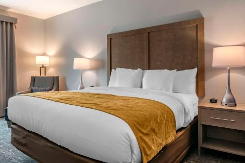 Comfort Inn & Suites Jacksonville - Orange Park Near Naval Air Station Image