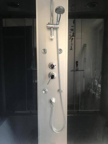 une douche avec un pommeau de douche. dans l'établissement Le gite 4 - Le Château du Hohlandsbourg, à Sélestat