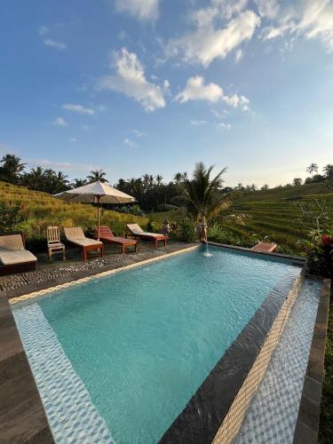 a swimming pool with chairs and an umbrella at Balitrees in Selemadeg
