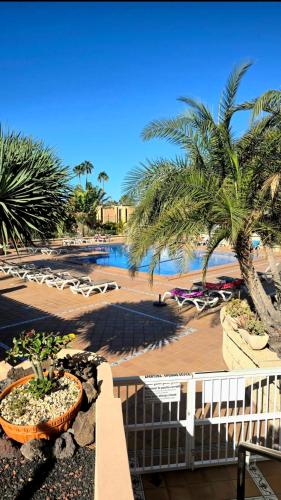524 Ocean Dreams Las Americas