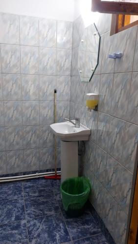 a bathroom with a sink and a green basket at Casa Dexter in Vama Veche