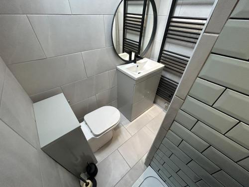 a bathroom with a white toilet and a mirror at The Cottage - Snowdonia, North Wales in Bethesda