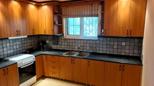 a kitchen with wooden cabinets and a sink and a window at Sounio Poseidon Villa in Sounio