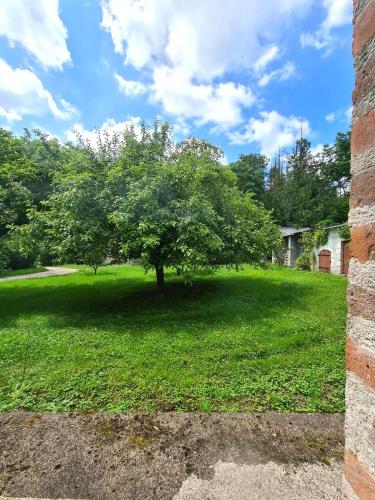 Zahrada ubytování Moulin du château