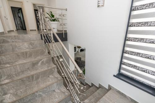 a set of stairs in a house with a plant at Casa Patry in Călimăneşti