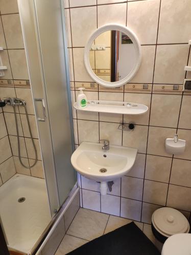 a small bathroom with a sink and a mirror at DG EWA w Polańczyku in Polańczyk