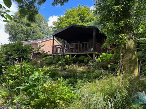 a house with a deck in the middle of a garden at Woodland Views Lodge in Blandford Forum