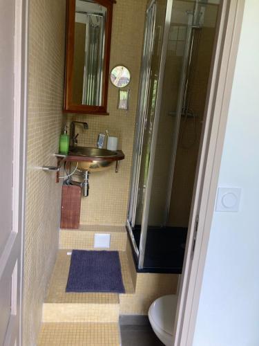 une salle de bain avec un lavabo, une douche et des toilettes dans l'établissement Chambre d'hôte havre de paix, à Noisy-le-Sec