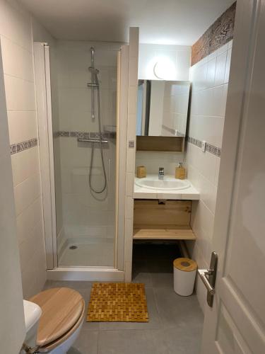 Ένα μπάνιο στο Studio au calme en plein coeur d'Ajaccio