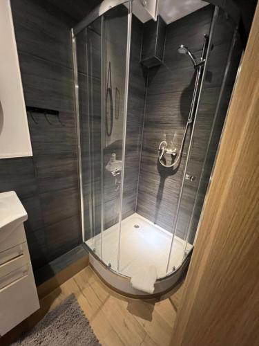 a shower with a glass enclosure in a bathroom at Alpha Rooms in Backnang