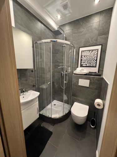 a bathroom with a shower and a toilet and a sink at Alpha Rooms in Backnang