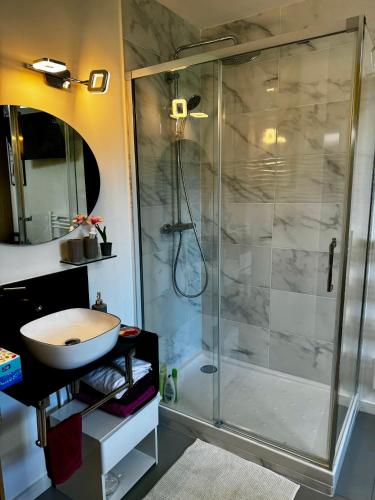 a bathroom with a shower and a sink at La Maison des Tarentes in Brignoles