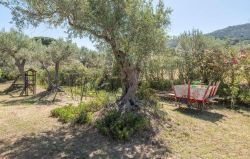 a tree and a picnic table and a swing at 4 Bedroom Gorgeous Home In Acquedolci in Acquedolci
