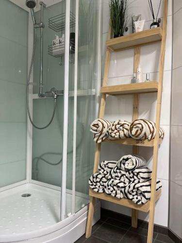 a bathroom with a shower and a shelf with towels at Agaton Apartment in Andenes