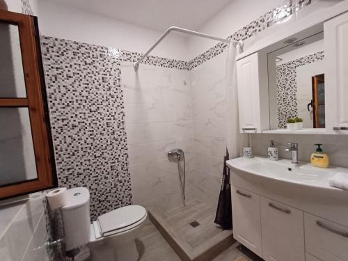 a bathroom with a shower and a toilet and a sink at Cozy Apartment in Drymades Village in Dhërmi