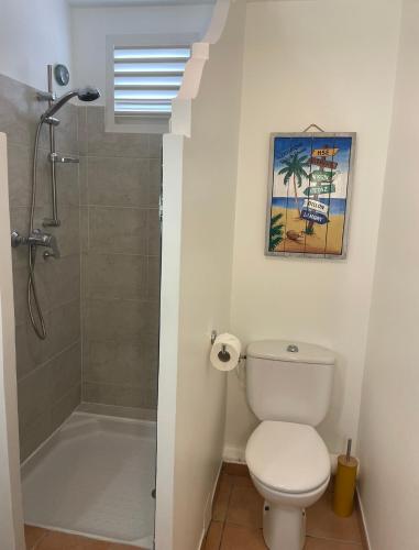 a bathroom with a toilet and a shower at Couleur Caraïbes-Ti rêve appartement vue mer hotel club in Sainte-Luce
