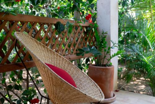a wicker chair sitting next to a potted plant at Casa Mariposa Beach Hotel in Tierra Blanca