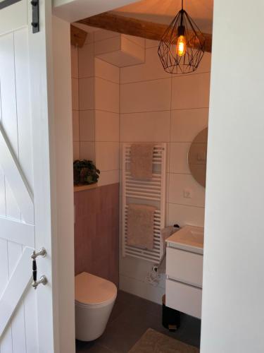 a bathroom with a toilet and a sink at de Zuiderstolp in Zuidermeer